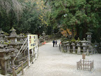 DSCF4433.JPG
