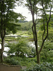 DSCF3176.JPG