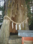 DSCF3896.JPG