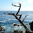 20060604 Monterey 17Miles - 105
