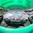 20060604 Monterey 17Miles - 032