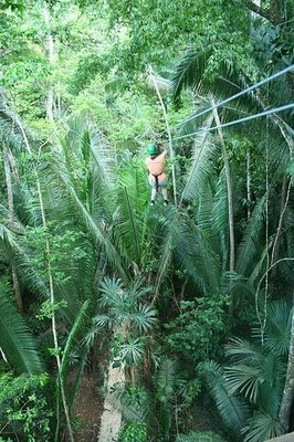 [zipline[3].jpg]