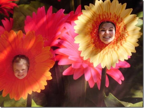 more mums