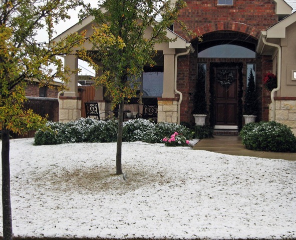 [snow dec 2 09[3].jpg]