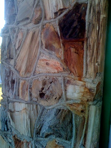 [petrified gas station3[3].jpg]