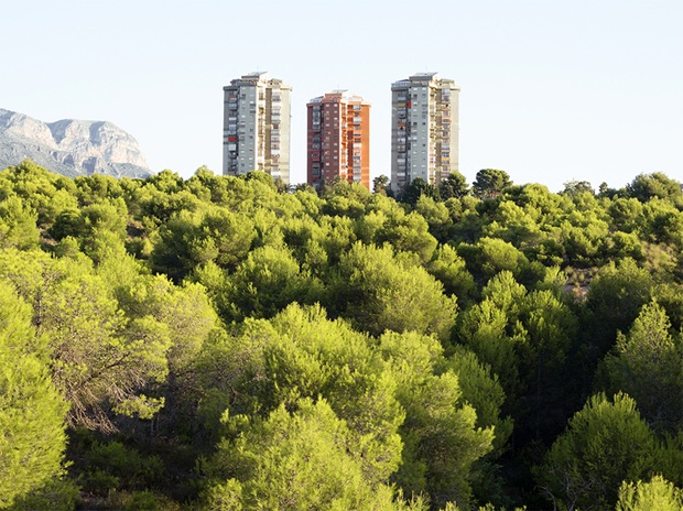 City Tower above forest City Tower above forest