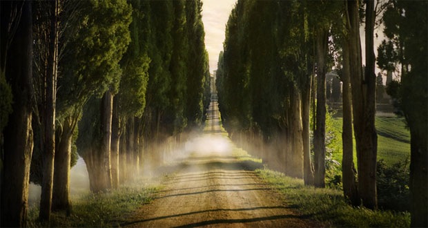 50 stunning examples of