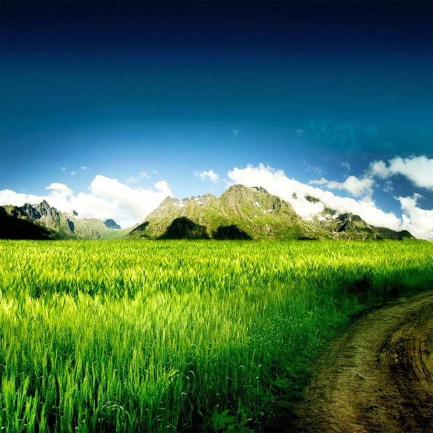Fantasy Green Field wallpaper for Apple iPad Fantasy Green Field wallpaper for Apple iPad
