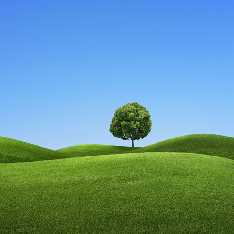 [13Fantasygreenfiledipadwallpaper.jpg]