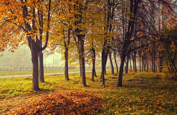27-Fall-colors-photos 27-Fall-colors-photos
