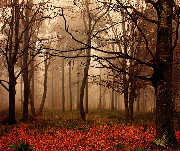 33-Autumn-nature-photography 33-Autumn-nature-photography