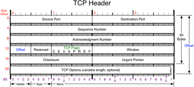 [TCP-Header[4].png]