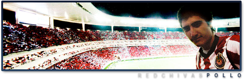 http://lh3.ggpht.com/_7rInutftBVA/TFd-aC8H3YI/AAAAAAAAE5Y/RTNOM4jfIeg/s800/banner-pollo.jpg