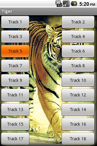 Tiger - Sound Effects