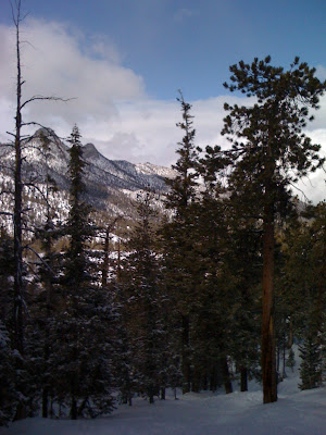 IMG_0174.JPG