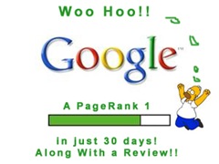 woohoo! A PageRank 1 and a beautiful review