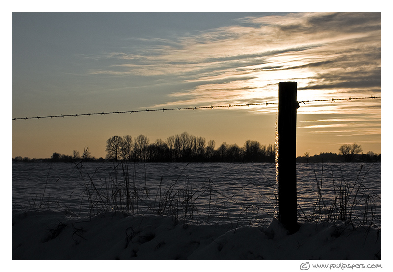 Fotografie