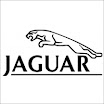 More About Jaguar