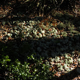 black creek hike 05MAR10