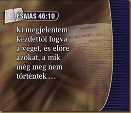 PDVD_037 PDVD_037