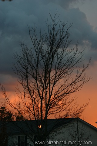 [Sunset 001[11].jpg]