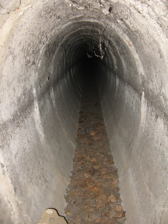 sira 006.jpg