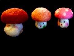 [Mushroom2.jpg]