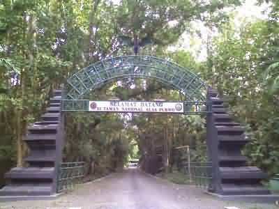 alas purwo gate