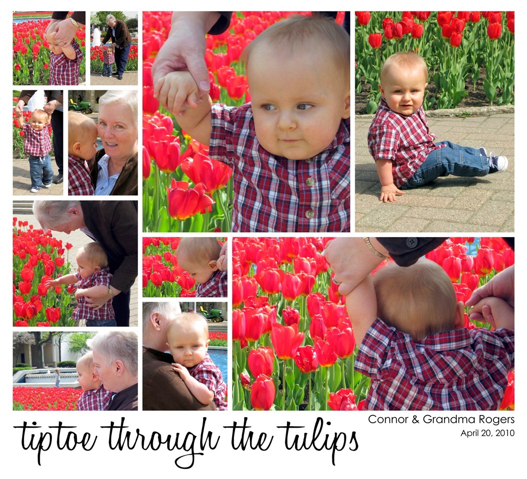 [TiptoethroughthetulipswGrandmaRogers[3].jpg]