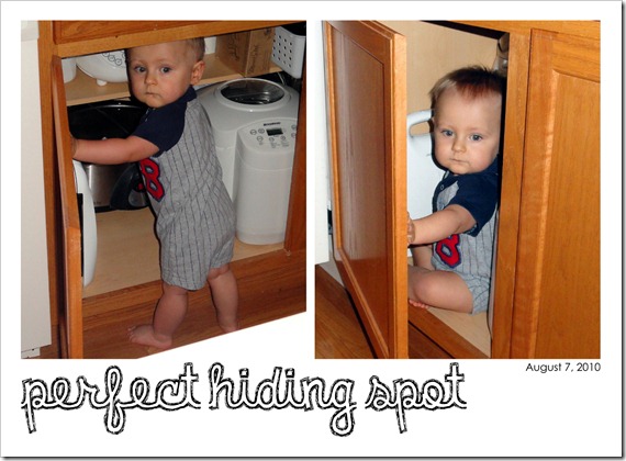 Perfect Hiding Spot - August 7, 2010