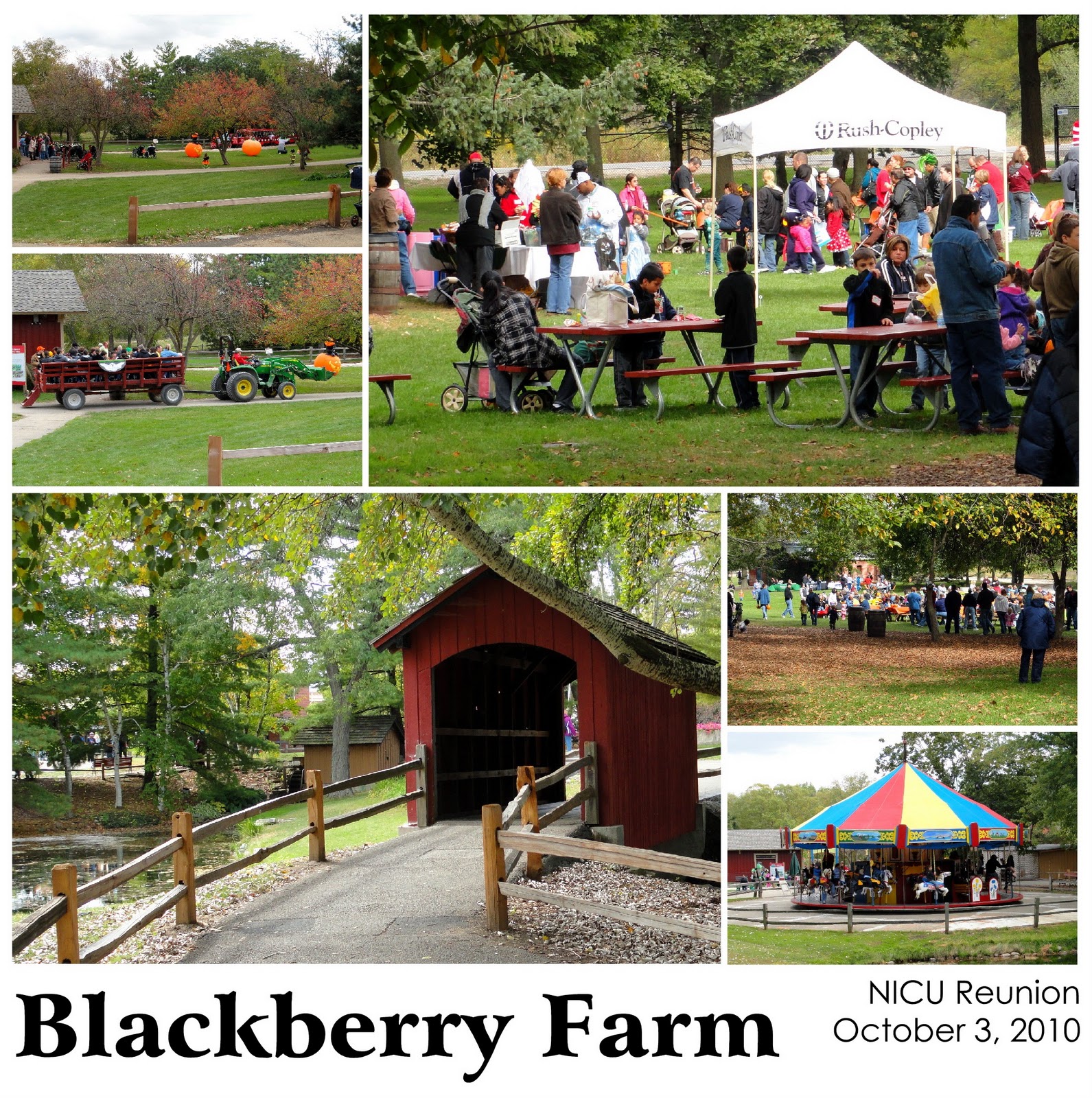 [Blackberry Farm[1].jpg]