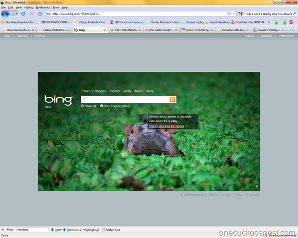 [bingFAIL9.png]