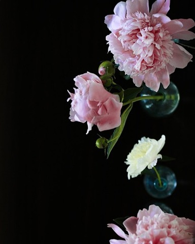 [Peony no.3316.kariherer.etsy[3].jpg]