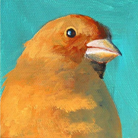 [IHaveSeenTheInteriors.mincingmockingbird[3].jpg]