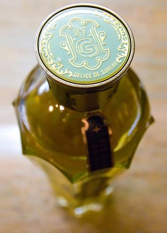 [StGermaintop.viathedieline[3].jpg]