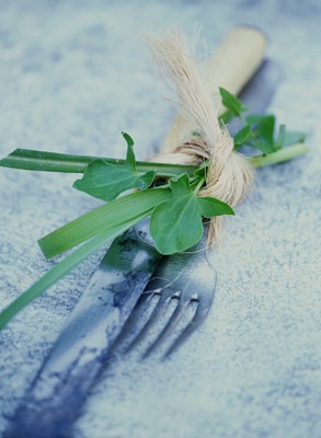 [knife&fork.sandralane.sarahkaye[4].jpg]