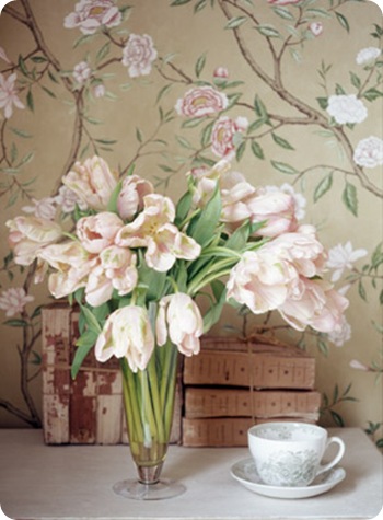 tulips.sandralane.sarahkaye
