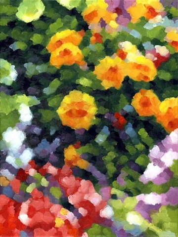 [Field of Flowers.mirosinovcic[3].jpg]