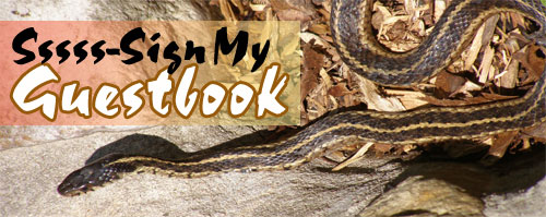 Snakes and Reptiles Coloring Book