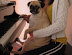 pianist pug.jpg