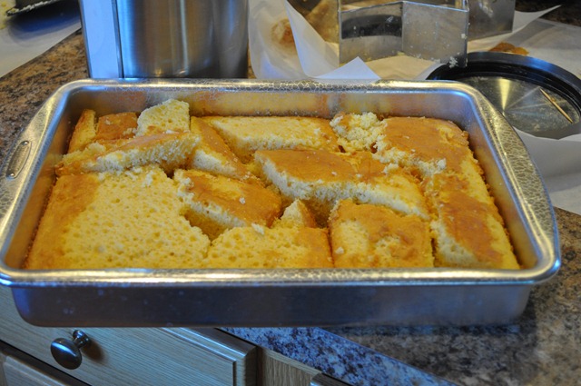 [DSC_0733[3].jpg]