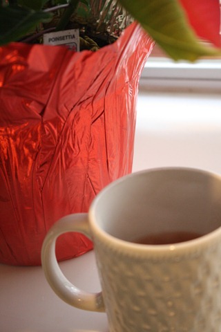 [Christmas 2010 348[10].jpg]