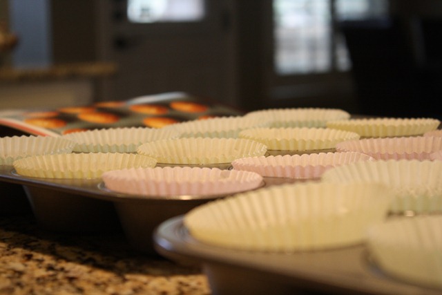 Cupcakes 002