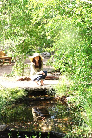 [Wildflower Center 059[3].jpg]