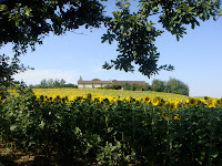 DSC04740.JPG