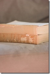 IMG_3142_4106