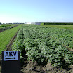 DSC01517.JPG
