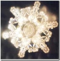 clip_image005
