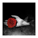 [ handfish rose ]