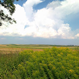 20100717105.jpg